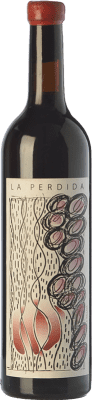 La Perdida A Mallada 若い