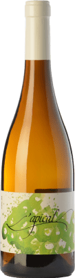L'Apical Macabeu Macabeo — マカベオ Crianza — クリアンサ 75 cl