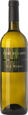 Lis Neris Fiore di Campo