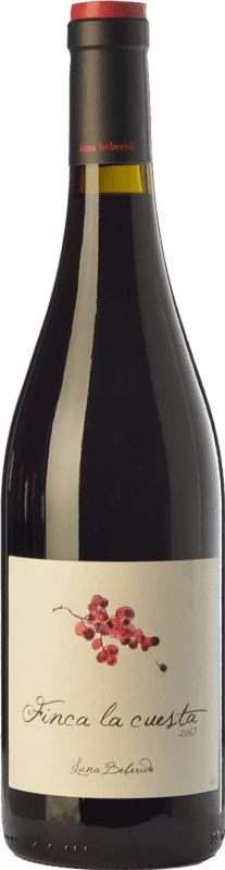 12,95 € Free Shipping | Red wine Luna Beberide Finca La Cuesta Aged D.O. Bierzo