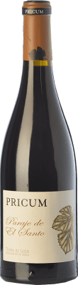 Margón Pricum Paraje de El Santo Prieto Picudo Tierra de León 高齢者 75 cl