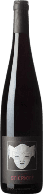 Rietsch Stierkopf Pinot Black Alsace 75 cl