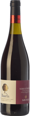 Miceli Baaria