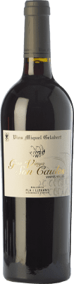 Miquel Gelabert Gran Vinya Son Caules 高齢者