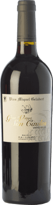 Miquel Gelabert Gran Vinya Son Caules Pla i Llevant Crianza — Aged 75 cl