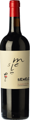 Бесплатная доставка | Красное вино Montebaco Semele старения D.O. Ribera del Duero Кастилия-Леон Испания Tempranillo, Merlot 75 cl