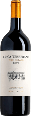 Mustiguillo Finca Terrerazo 岁