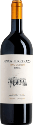 Mustiguillo Finca Terrerazo Crianza — Aged