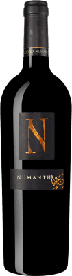 Numanthia Termes Numanthia Tinta de Toro Toro Alterung 75 cl