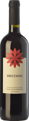 Ognissole Brecciato Nero di Troia Puglia Biologique 75 cl