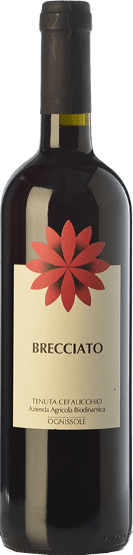 9,95 € Envio grátis | Vinho tinto Ognissole Brecciato I.G.T. Puglia Biológico