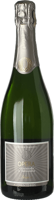 Opera Chardonnay Brut Natur Trento 75 cl