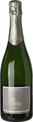 Opera Chardonnay Brut Nature Trento 75 cl