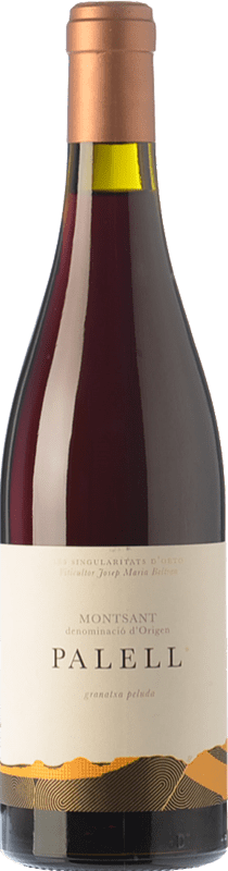 84,95 € Free Shipping | Red wine Orto Palell Aged D.O. Montsant