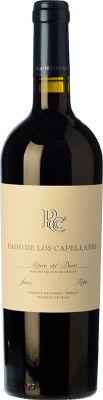Pago de los Capellanes Tempranillo Ribera del Duero Rovere 75 cl