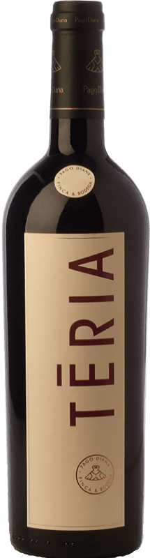 14,95 € | Red wine Pago Diana Teria Crianza D.O. Catalunya Catalonia Spain Tempranillo, Merlot, Cabernet Sauvignon Bottle 75 cl