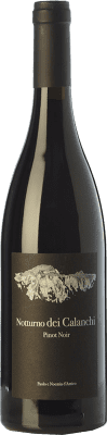 D'Amico Notturno dei Calanchi Pinot Black Umbria 75 cl