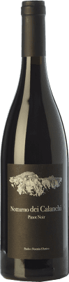 D'Amico Notturno dei Calanchi Pinot Noir — Spätburgunder Umbria 75 cl