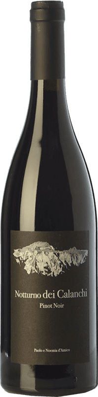22,95 € | Red wine D'Amico Notturno dei Calanchi I.G.T. Umbria Umbria Italy Pinot Black Bottle 75 cl
