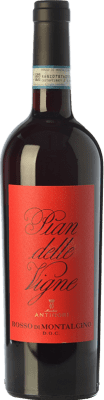 Pian delle Vigne