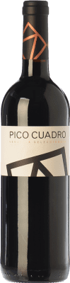 Pico Cuadro Tempranillo Ribera del Duero VS Vendimia Seleccionada — Vindima Selecionada Crianza 75 cl