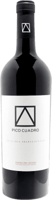 Pico Cuadro Tempranillo Ribera del Duero VS Vendimia Seleccionada — Vendemmia Selezionata Crianza — Invecchiato in Botte 75 cl