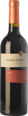 Pinna Fidelis Eiche