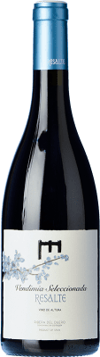 Resalte VS Vendimia Seleccionada — Selected Harvest Young