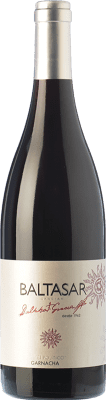 San Alejandro Baltasar Gracián El Político Garnacha — Grenache Calatayud Giovane 75 cl