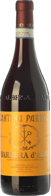 San Michele Cantina Parroco Barbera Barbera d'Alba 75 cl