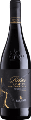Vinicola Sartori Reius Amarone della Valpolicella Classico — Clásico 75 cl
