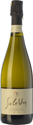 SoloUva Chardonnay Brut — Bruto Franciacorta 75 cl