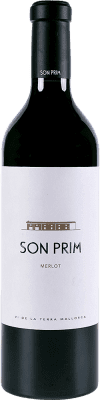 Son Prim Alterung