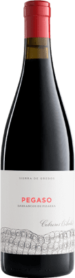 Telmo Rodríguez Pegaso Barrancos de Pizarra Grenache Vino de la Tierra de Castilla y León Alterung 75 cl