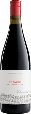 Telmo Rodríguez Pegaso Barrancos de Pizarra Grenache Vino de la Tierra de Castilla y León старения 75 cl