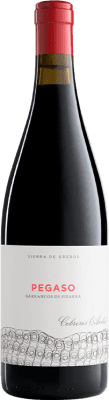 Telmo Rodríguez Pegaso Barrancos de Pizarra Aged