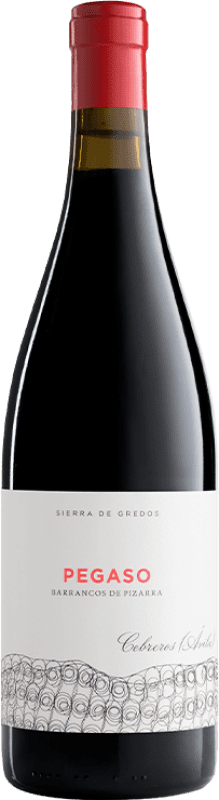 72,95 € Free Shipping | Red wine Telmo Rodríguez Pegaso Barrancos de Pizarra Aged I.G.P. Vino de la Tierra de Castilla y León