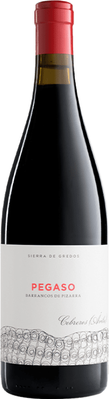 41,95 € | Vino tinto Telmo Rodríguez Pegaso Barrancos de Pizarra Crianza I.G.P. Vino de la Tierra de Castilla y León Castilla y León España Garnacha 75 cl