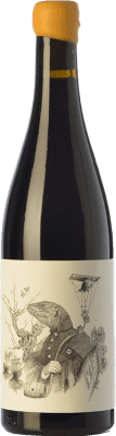 Tentenublo Escondite del Ardacho El Veriquete Rioja 若い 75 cl