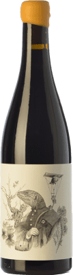 Tentenublo Escondite del Ardacho El Veriquete Rioja Молодой 75 cl