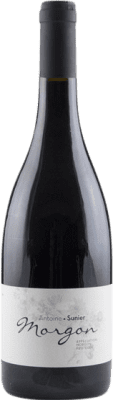 Antoine Sunier Gamay Morgon Eco — Biologique 75 cl