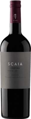 Tenuta Sant'Antonio Scaia Corvina Veneto 75 cl