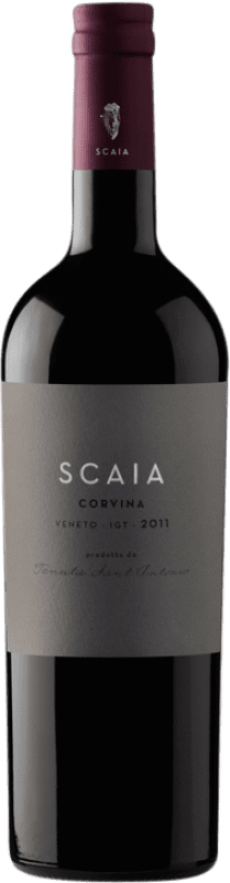 Бесплатная доставка | Красное вино Tenuta Sant'Antonio Scaia I.G.T. Veneto Венето Италия Corvina — Корвина 75 cl