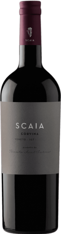 Бесплатная доставка | Красное вино Tenuta Sant'Antonio Scaia I.G.T. Veneto Венето Италия Corvina — Корвина 75 cl