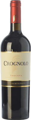 Tenuta Sette Ponti Crognolo