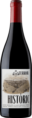 Terroir al Límit Històric Giovane