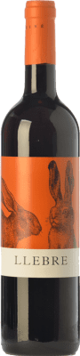Tomàs Cusiné Llebre Costers del Segre Giovane Bottiglia Magnum 1,5 L