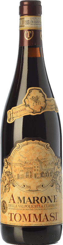 54,95 € | Red wine Tommasi Classico D.O.C.G. Amarone della Valpolicella Veneto Italy Corvina, Rondinella, Corvinone, Oseleta 75 cl