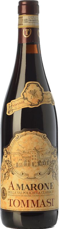 送料無料 | 赤ワイン Tommasi Classico D.O.C.G. Amarone della Valpolicella ベネト イタリア Corvina, Rondinella, Corvinone, Oseleta 75 cl