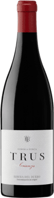 Trus Tempranillo — テンプラニーリョ Ribera del Duero Crianza — クリアンサ 75 cl